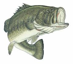JCHS Fishing Team